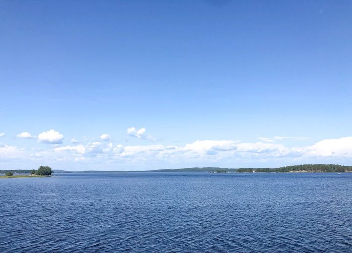 Järvimaisema kesällä