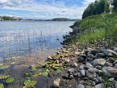 Kallaveden rantamaisema Kuopiossa, rantakivikkoa ja kasveja, taustalla järvimaisema ja taivas.