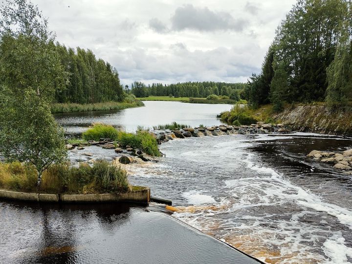 Kyrönjoen Malkakoskelta maisemakuva.