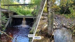 Oriveden Siukolanpuro ennen mittapadon poistamista ja mittapadon poistamisen jälkeen.