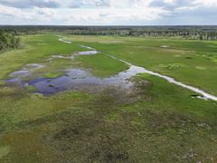 Droonilla otettu ilmakuva rehevöityneestä järvestä.