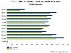 Työttömät työnhakijat ikäryhmän mukaan Etelä-Pohjanmaalla joulukuussa 2024 ja 2025. Kaikissa ikäryhmissä on kasvua. Eniten kasvaneet nuorten ja lähempänä eläkeikää olevien työnhakijoiden määrät.