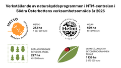Verkställande av naturskyddsprogrammen i NTM-centralen i Södra Österbottens verksamhetsområde år 2025. Metso 213 ha, 1507000 euro, Helmi 699 ha, 681000 euro, Det lagstadgade andel 227 ha, 491500 euro. Verkställande av skyddsprogrammen totalt 1139 ha och 2670000 euro.