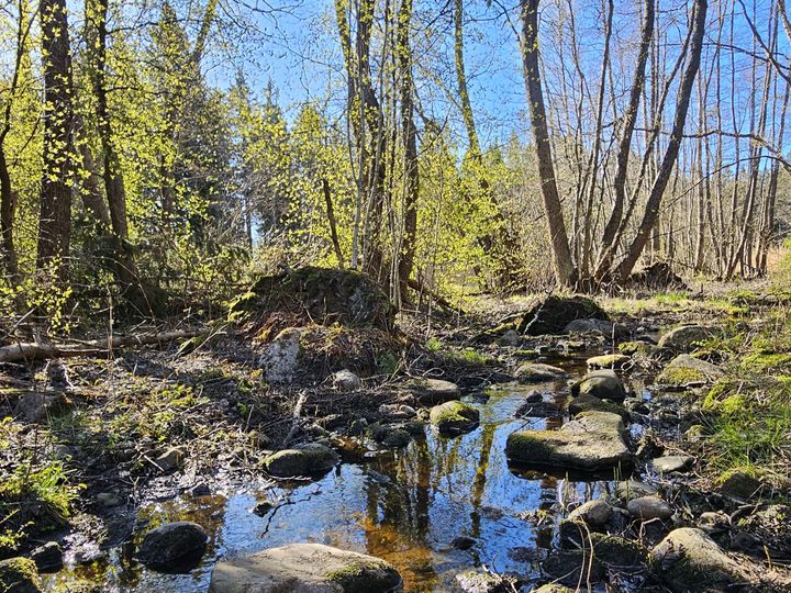 LUMO-ohjelma sisältää runsaasti toimenpiteitä, jotka kattavat arvokkaiden ja erikokoisten vesistöjen tilan parantamista kunnostus-, kuormituksen vähentämis- tai turvaamistoimilla.