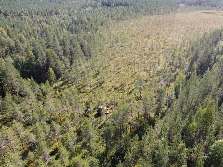 Kaivinkone täyttää suo-ojia Rautavaaralla.