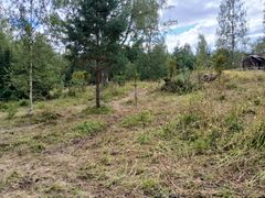 Etelä-Savon ensimmäinen Helmissä aidattu hevoslaidun ensimmäisen laidunkauden jälkeen syksyllä 2025. Kuva: Kerttu Hakala