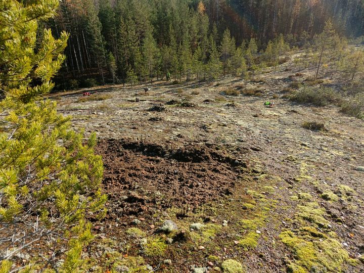 Paljastettua%20kivenn%E4ismaata%20Kurenvarpaan%20luonnonsuojelualueen%20paahderinteess%E4.%20Kuva%3A%20Vesa%20Kontio