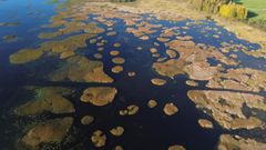 Iisalmessa niittojen tavoitteena oli muodostaa mosaiikkimaista kasvillisuutta sekä lisätä avovesialaa, ja siten kasvattaa uposvesikasvien määrää suhteessa ilmaversoiseen kasvillisuuteen. Kuva: Roosa Pesonen
