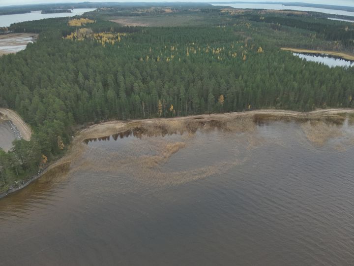 Pohjois-Savossa%20jatkettiin%20aiemmin%20aloitettuja%20hiekkarantojen%20kunnostuksia.%20Nilakka-j%E4rven%20Hirviniemen%20jatkohoidettua%20hiekkarantaa%20toimenpiteiden%20j%E4lkeen.%20Kuva%20Aatu%20Heiskanen