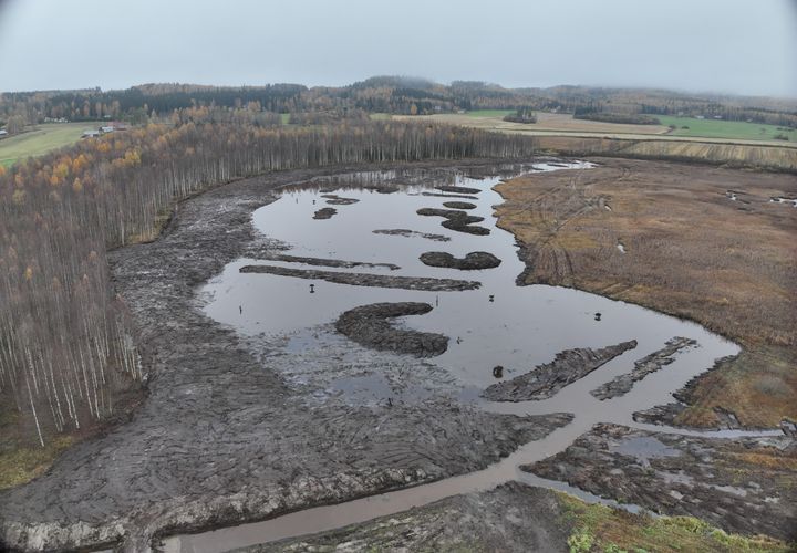 Pesimälinnusto reagoi nopeasti lintuvesien ja -kosteikkojen kunnostukseen. Kuvassa Tohmajärven Sääperin syksyllä 2025 ruopattu kosteikko. Kuva: Mikko Pyykönen