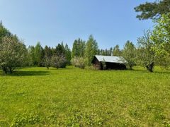 Hiekkapellon radanvarsiniitty Kiteen Kesälahdella keväällä 2025. Niitty niitetään ja niitos korjataan pois vuosittain elokuussa.