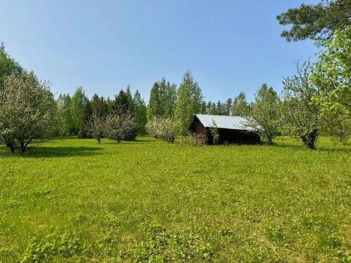 Hiekkapellon%20radanvarsiniitty%20Kiteen%20Kes%E4lahdella%20kev%E4%E4ll%E4%202025.%20Niitty%20niitet%E4%E4n%20ja%20niitos%20korjataan%20pois%20vuosittain%20elokuussa.