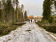 Myrskytuhoja joulukuulta/ Itä-Suomen elinvoimakeskus