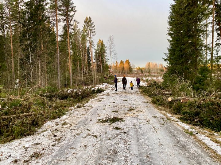 Myrskytuhoja joulukuulta/ Itä-Suomen elinvoimakeskus