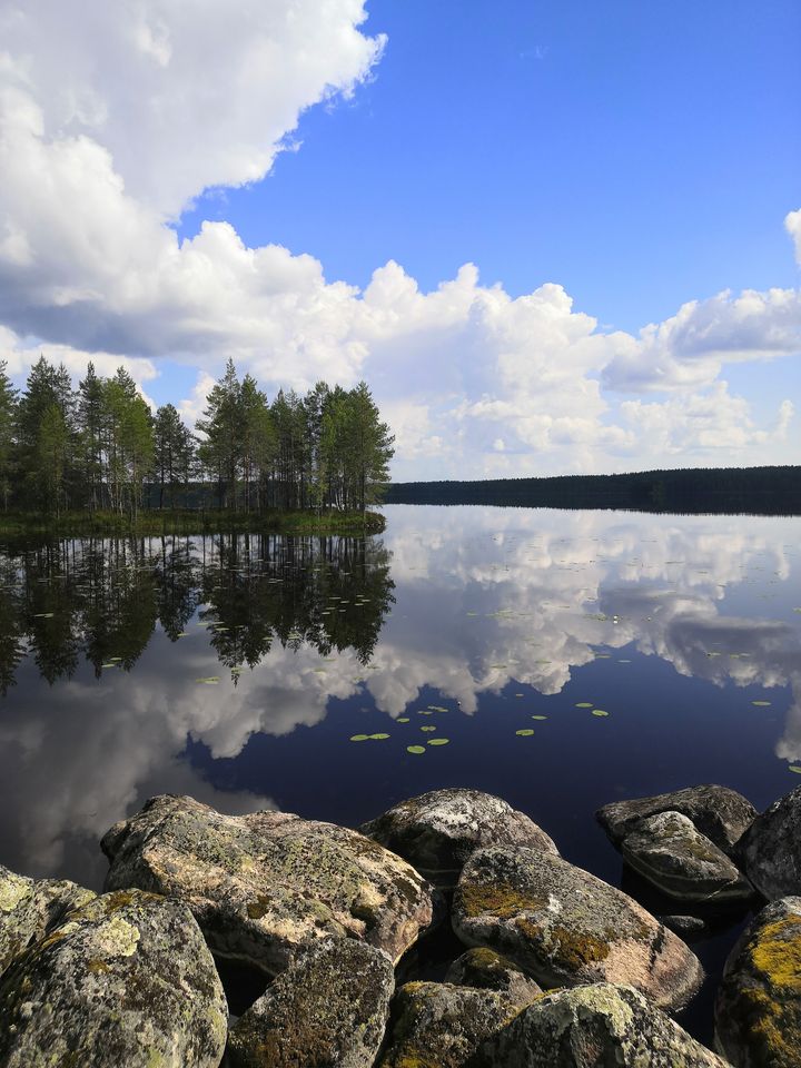 Kesäinen tyyni järvimaisema, jossa etualalla kiviä ja taustalla metsää.