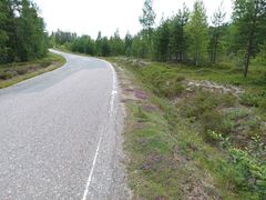 Pieni maantie mutkittelee metsäisellä alueella, tien reunalla kasvaa kanervia.