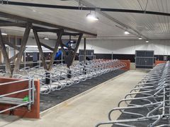 Valoisa ja tyhjä navetan sisätila, lehmien makuupaikkoja rivissä käytävän molemmin puolin.