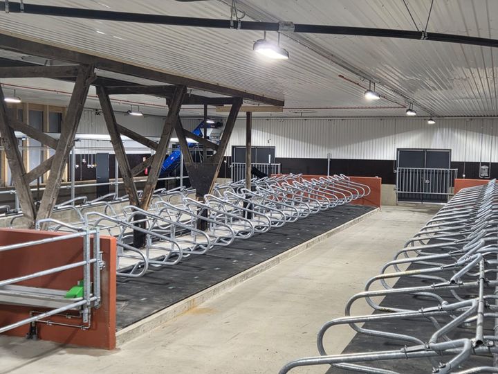 Valoisa ja tyhjä navetan sisätila, lehmien makuupaikkoja rivissä käytävän molemmin puolin.