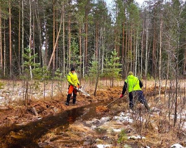Vanhan purouoman avaamista käsityönä ja veden johtamista ojittamisen vuoksi kuivuneeseen lampeen.