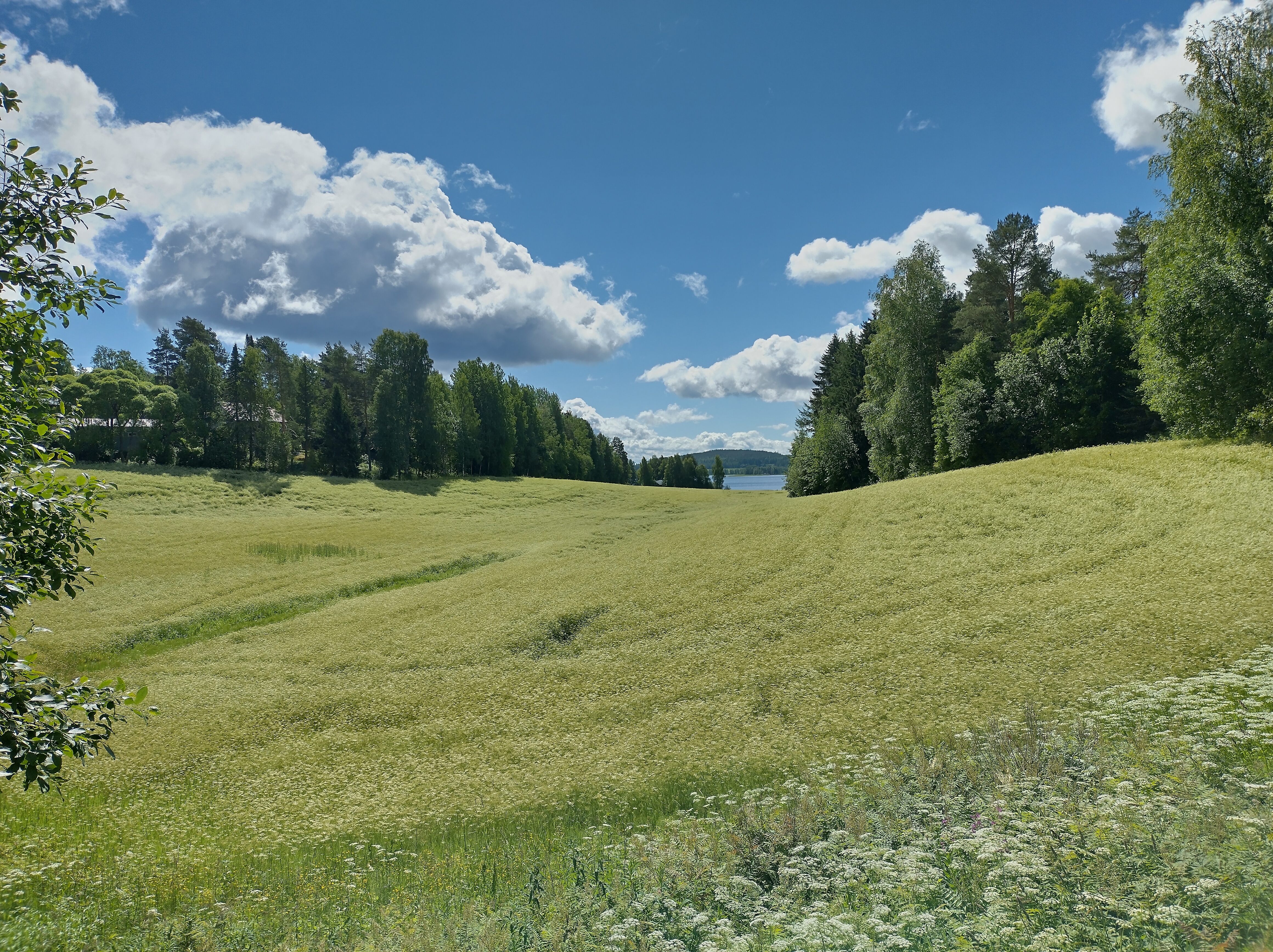 Peltovalvonnat käynnistyivät Keski-Suomessa viidelläkymmenellä maatilalla