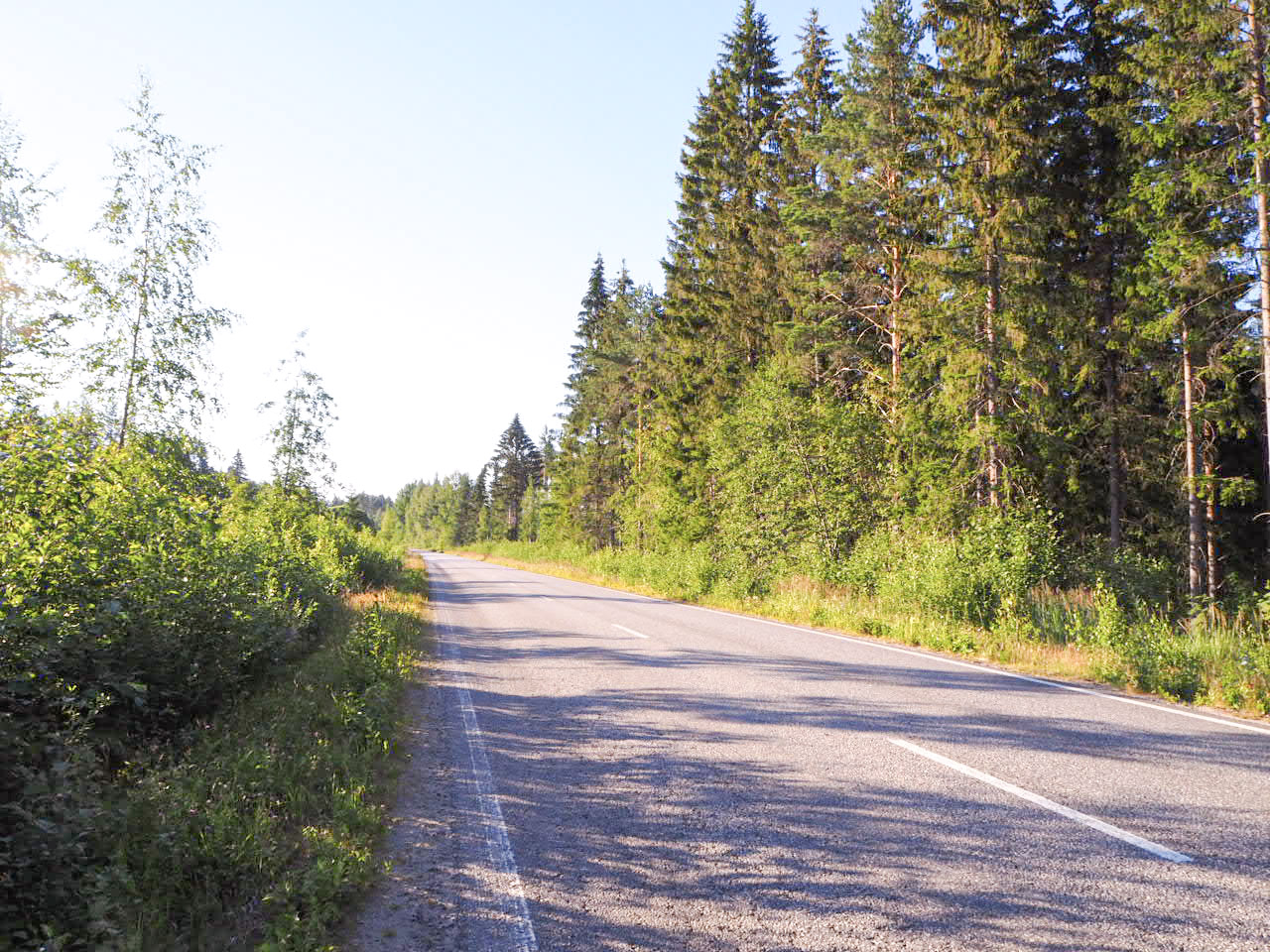 Puuston raivaukset jatkuvat Keski-Suomen maanteiden varsilla vuonna 2026