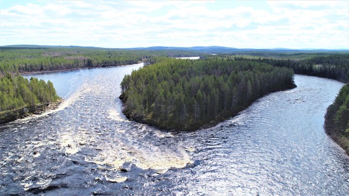 Joki, joka kuohuu niemen kohdalla, metsää ympärillä, aurinkoinen sää.