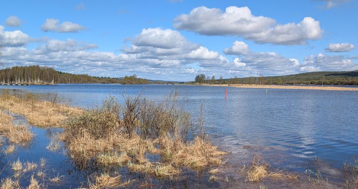 Rauhallisesti virtaava joki, joka on pienessä tulvassa, sininen taivas, jossa hieman pilviä.