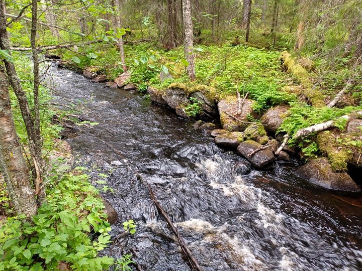 Kuvassa virtaa puro, jonka laidoilla on suuria kiviä.