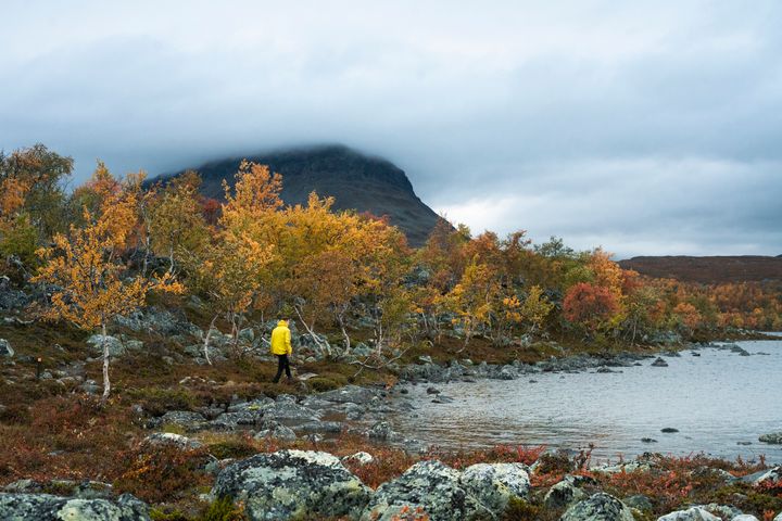Ruskassa oleva tunturi, joka sijaitsee vesistön vieressä. Ihminen kävelee rannalla.