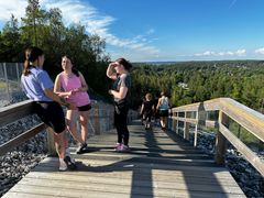 Ihmisiä Koirabaanan kuntoportaiden huipulla.