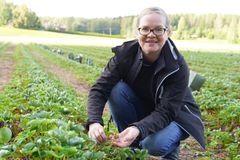 Minna Pohjola mansikkapellolla.