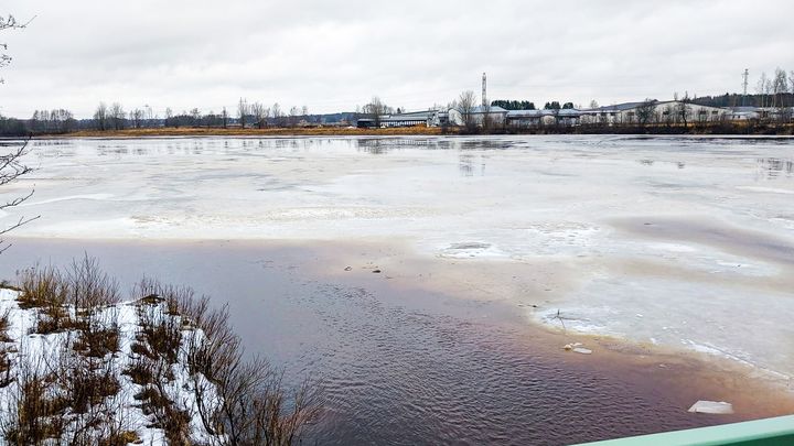 I Kyro älv i Storkyro, nedanför Kolkibron ligger isen fortfarande kvar.