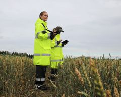 Elinvoimakeskuksen tarkastajat maastossa.