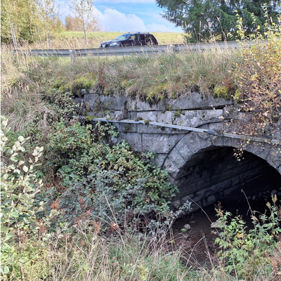 Description of the image