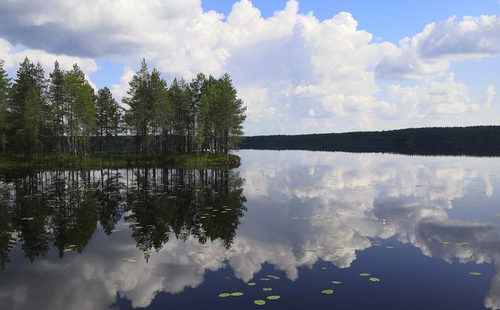 Järvimaisema pilvisellä taivaalla, vedenpinnalla heijastuksia metsän reunasta ja pilvistä.