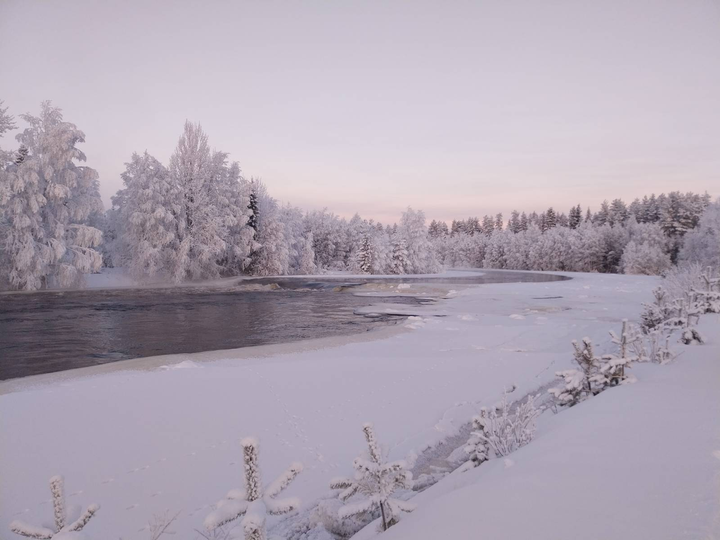 Hyydepato Taivalkoskella. Kuva: Tarmo Pyykkönen, Lapin elinvoimakeskus.