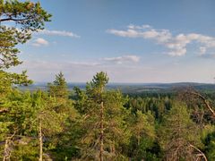 Näkymä Vuokatinvaaralta metsäiseen maisemaan, taustalla järviä ja mäkiä.