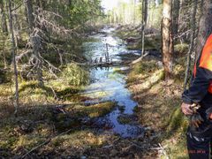 Metsän keskellä lähde ja virtaavaa vettä.
