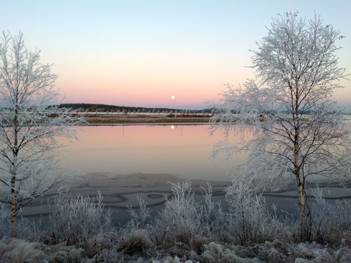 Järvimaisema talvella, jäätyneitä puita ja lumen peittämä maa heijastavat pastellista auringonlaskua.