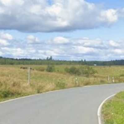Description of the image
