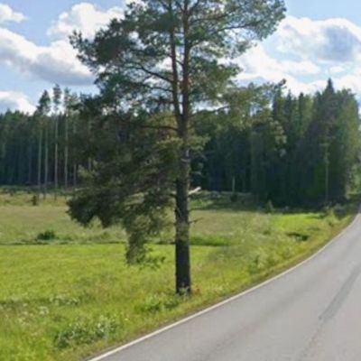 Description of the image