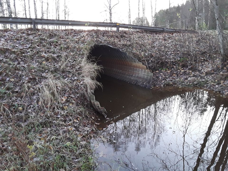 Tavinojan silta Kihniössä. Kuva TREX