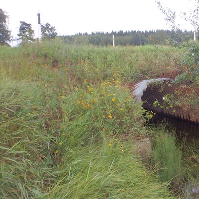 Description of the image