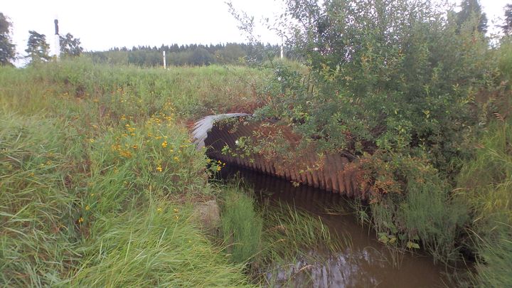 rusthollin silta