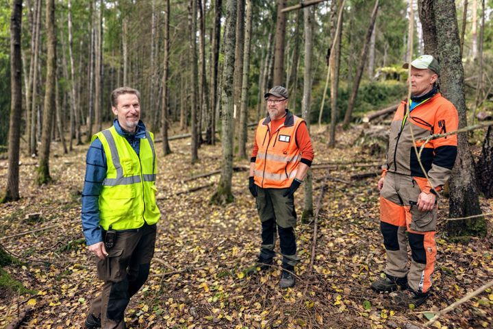 Kuva%20hoidetusta%20lehmusmets%E4st%E4%2C%20jossa%20ihmisi%E4.