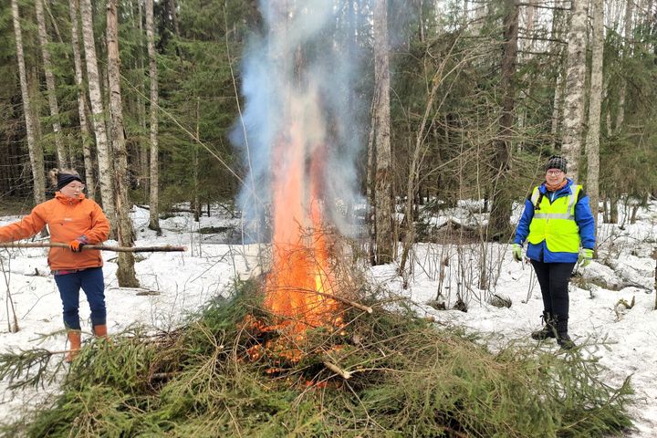 Kuva luonnonhoitajista ja palavasta kokosta.