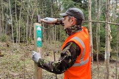 Kuvassa huomioliivinen henkilö hakkaa lekalla luonnonsuojelualueen paalumerkkiä maahan metsän keskellä.