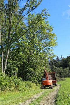 Kaivinkone tekee töitä metsäpolulla Pilvijärvenpuron kunnostuksessa.