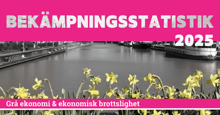 Bild med texten "Bekämpningsstatistik 2025" över en svartvit bakgrund av en flod och gula blommor. Text längst ner: "Grå ekonomi & ekonomisk brottslighet".