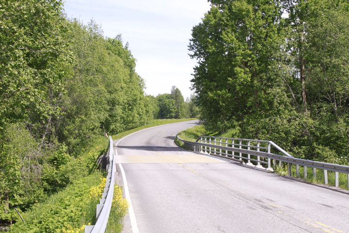 Kuva sillasta, jota ympäröi vehreä puusto.